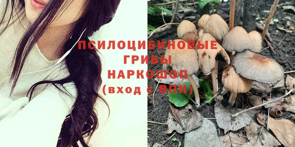 молекула духа Верея
